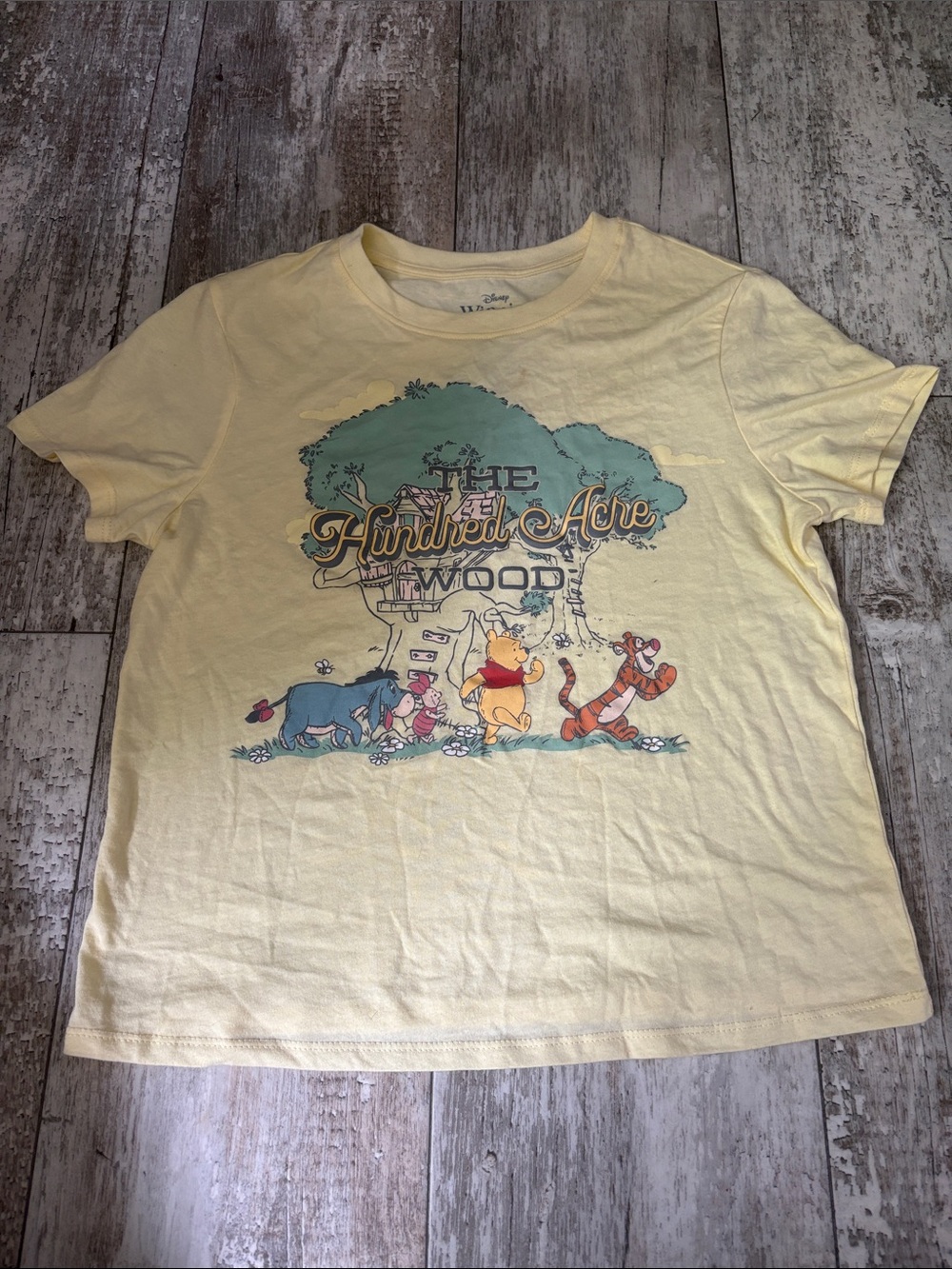 Disney Kids Pale Yellow Winnie the Pooh Hundred Acre Wood Graphic Tee